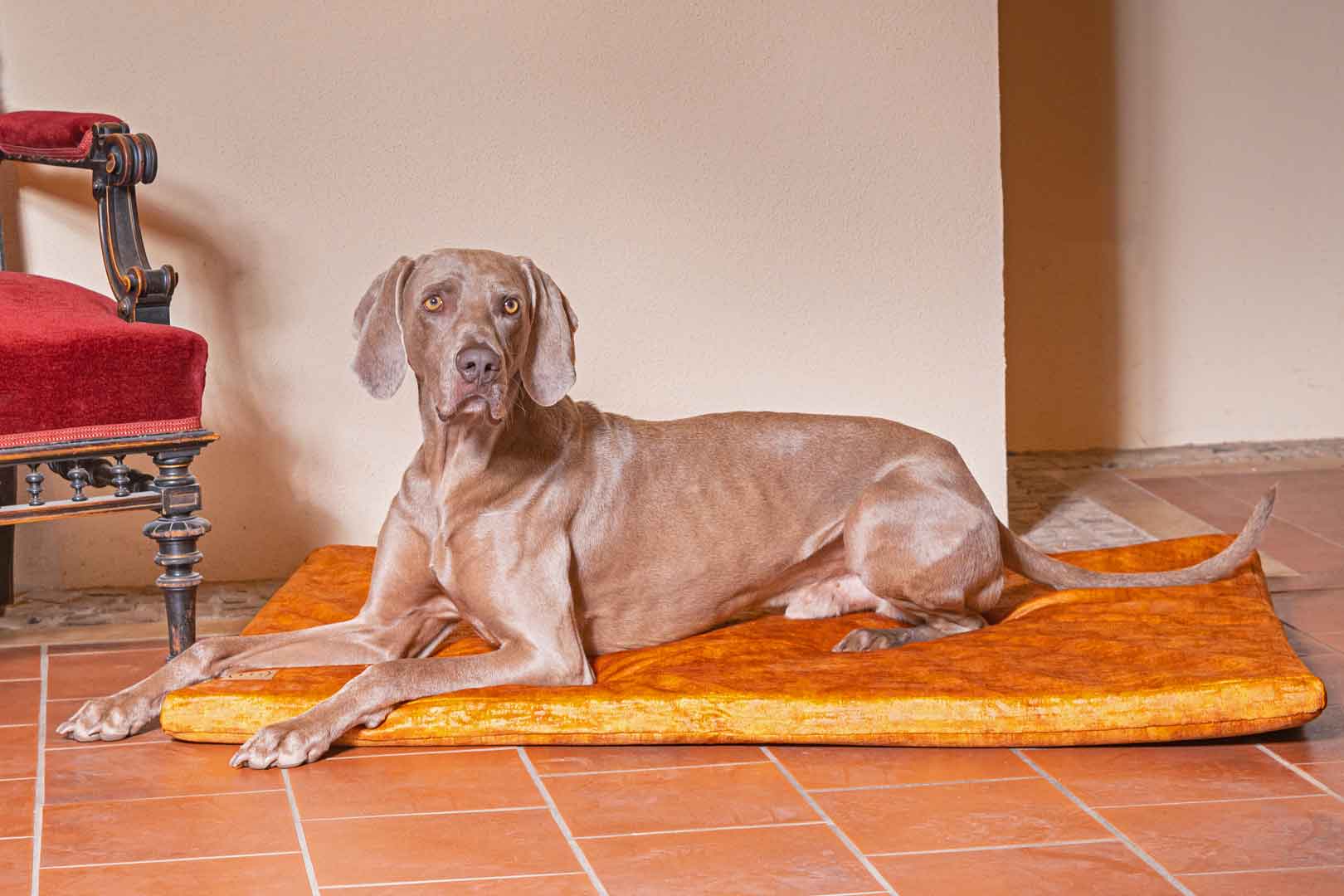 Traumhund Orthopedic dog mat vintage velvet
